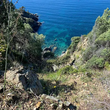 Petit Cocon Pres Des Calanques De Piana アパート