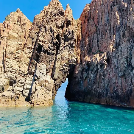 Petit Cocon Pres Des Calanques De Piana アパート Porto (Corsica)