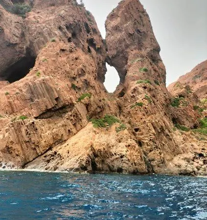 아파트 Petit Cocon Pres Des Calanques De Piana Porto (Corsica)