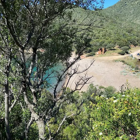 Petit Cocon Pres Des Calanques De Piana Apartment Porto (Corsica)