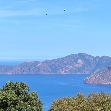 Petit Cocon Pres Des Calanques De Piana