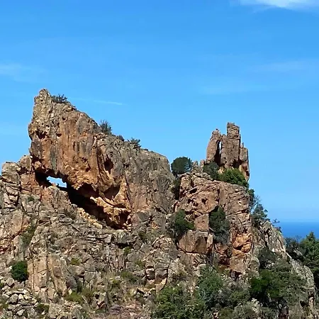 Petit Cocon Pres Des Calanques De Piana 아파트 Porto (Corsica)