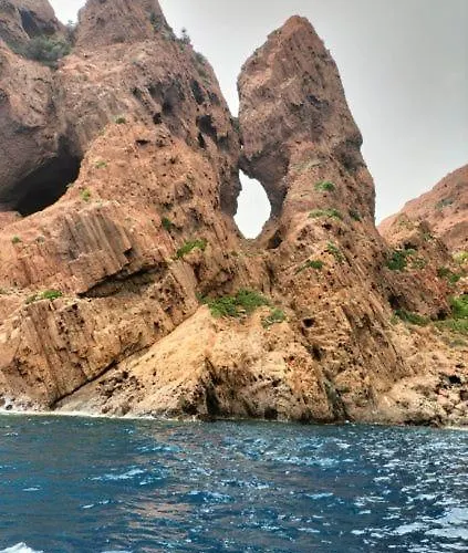 Apartment Petit Cocon Pres Des Calanques De Piana Porto (Corsica)