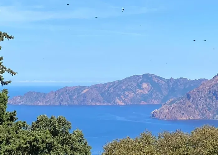 Petit Cocon Pres Des Calanques De Piana