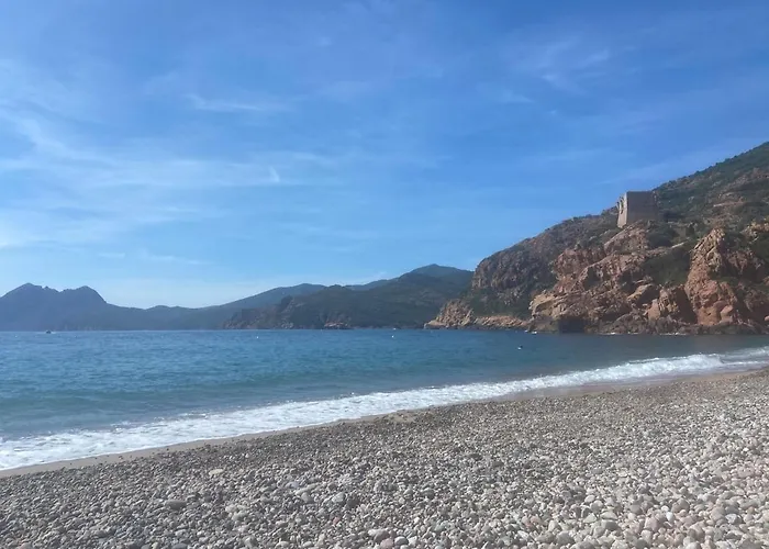Petit Cocon Pres Des Calanques De Piana Apartment Porto (Corsica)
